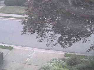 Front-yard webcam 2007-07-13 15:34:21